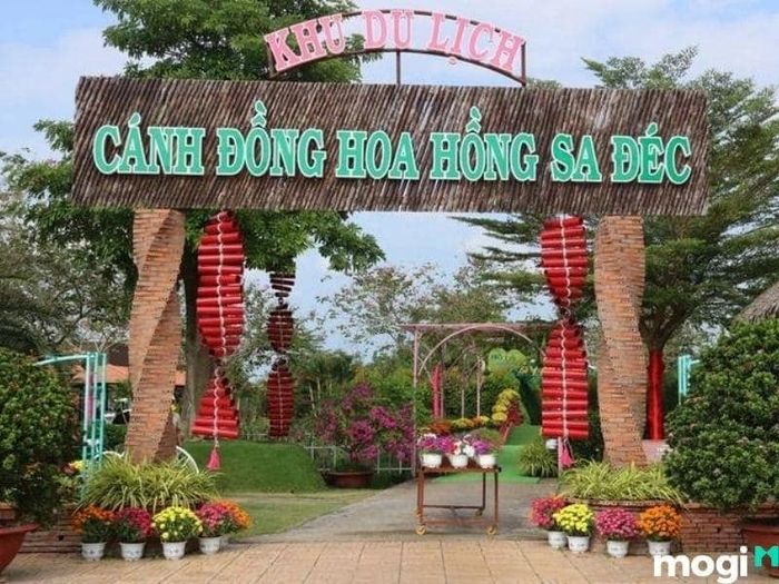 vườn chà là sa đéc
