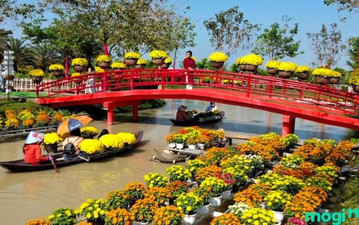 Địa điểm du lịch Đồng Tháp – Làng Hoa Sa Đéc là điểm đến cực kỳ “hot” vào mỗi dịp Tết.