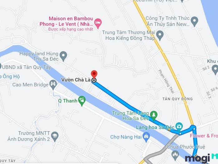 vườn chà là sa đéc