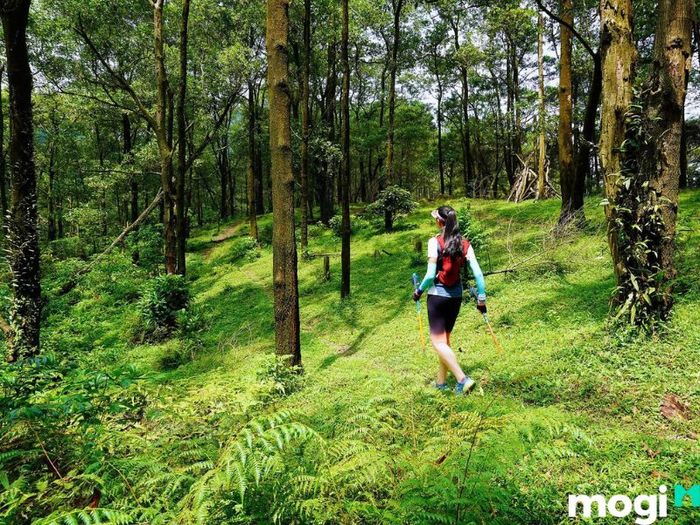 Chạy địa hình tại hồ Đồng Đò, trải nghiệm sức mạnh của bản thân giữa thiên nhiên hùng vĩ.