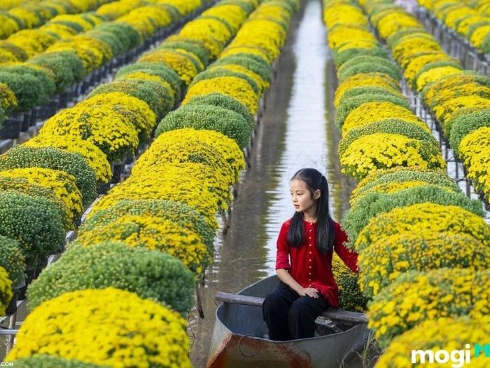 vườn chà là sa đéc