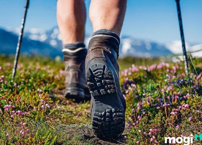 Lựa chọn giày trekking có độ bám dính cao để đảm bảo an toàn khi di chuyển trên các địa hình khó.