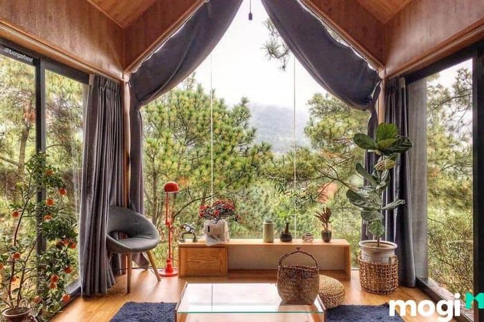 Không gian nghỉ dưỡng tại homestay thoải mái, gần gũi với thiên nhiên, thích hợp cho những chuyến đi thư giãn.