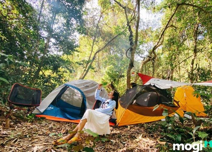 Trải nghiệm cắm trại giữa lòng rừng Nam Cát Tiên