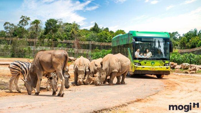 Phú Quốc có gì thú vị để khám phá?