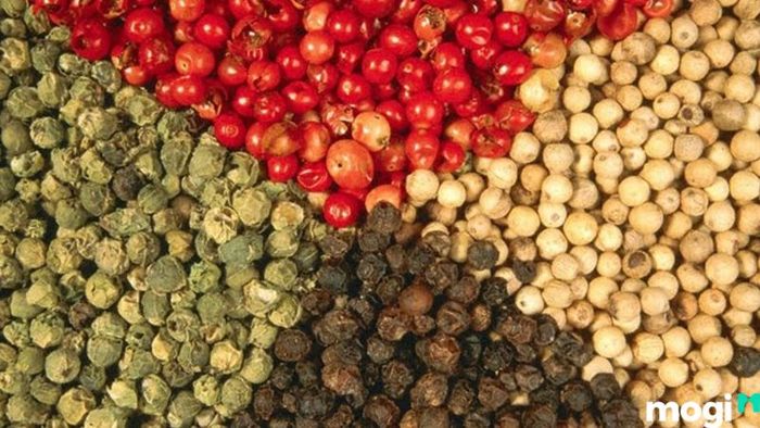 Vườn tiêu Phú Quốc