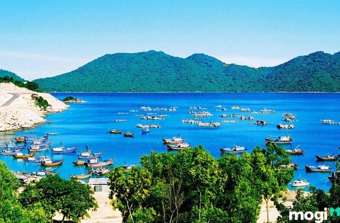 Tháp Nhạn Phú Yên