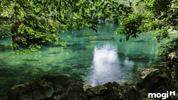 Phú Quốc có gì chơi?