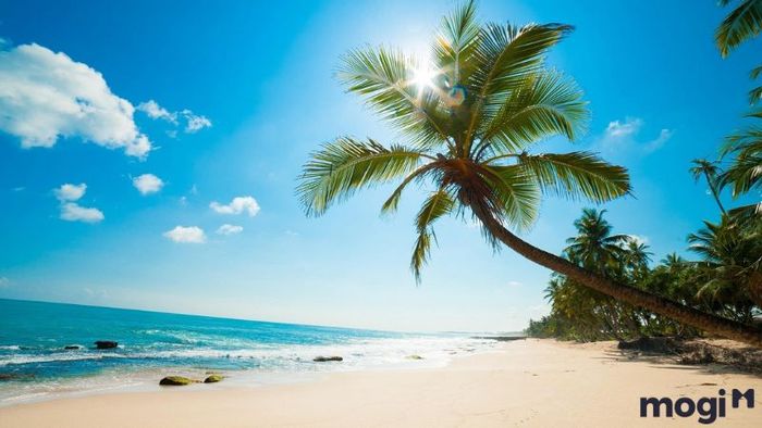 Khám Phá Những Hoạt Động Vui Chơi Ở Phú Quốc