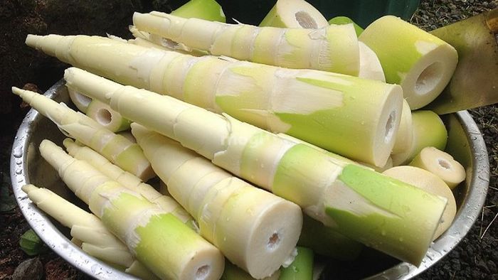 Măng tre là nguyên liệu quen thuộc trong các món ăn, luôn xuất hiện trong bữa cơm gia đình Việt, mang lại hương vị đặc trưng và giàu dinh dưỡng.