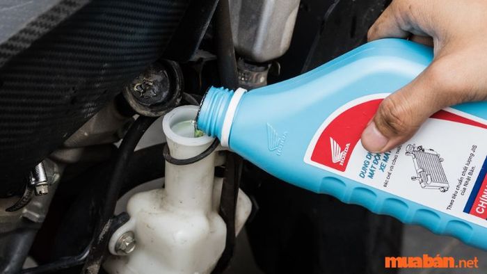 Nước làm mát Honda 0.5L Pre mix cho xe máy