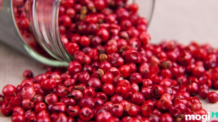 Vườn tiêu Phú Quốc