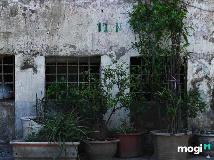 Mảng tường bị bong tróc vữa
