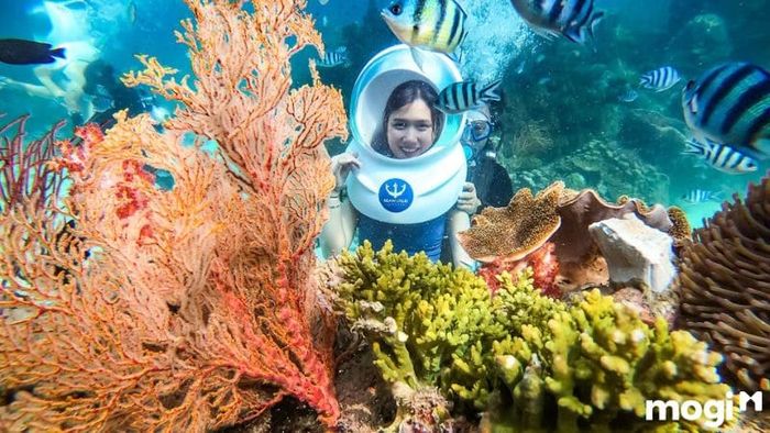 Phú Quốc có những điểm tham quan nào đặc sắc?