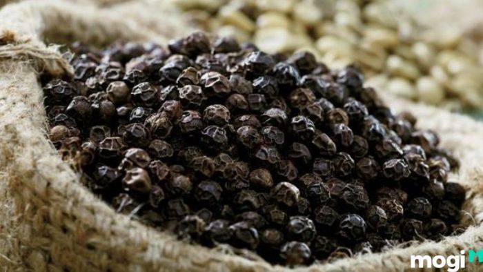 Vườn tiêu Phú Quốc