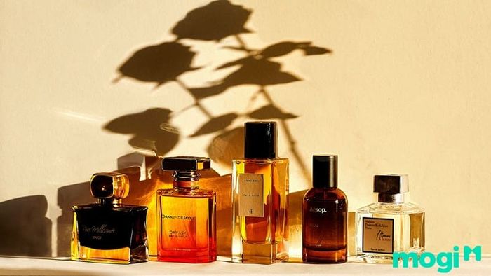 Khám phá một số mẹo bảo quản nước hoa từ các chuyên gia