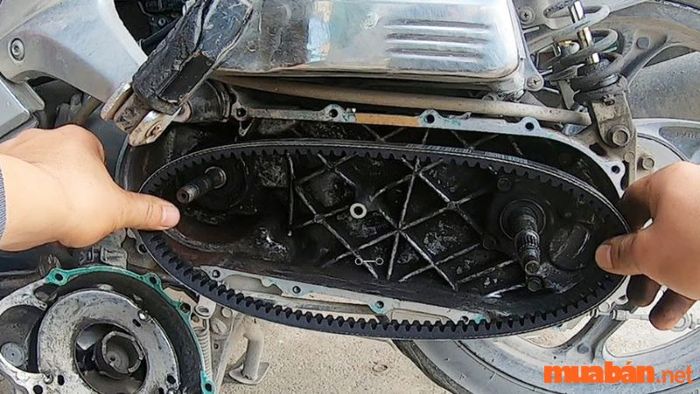 Tuổi thọ trung bình của dây curoa xe Vision là bao lâu?