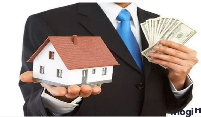 Ưu và nhược điểm khi đầu tư vào đất nông nghiệp