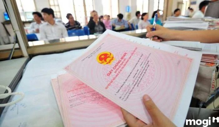 Quy trình nộp hồ sơ và kiểm tra, xác minh.