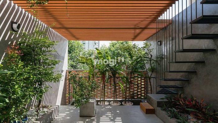 Không gian sân thượng phong cách Tropical yên tĩnh và thư thái