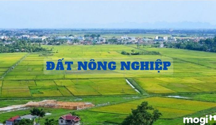 Đất nông nghiệp là gì?