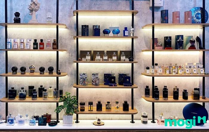 Cách bảo quản nước hoa thứ năm: Đặt nước hoa trên kệ đứng