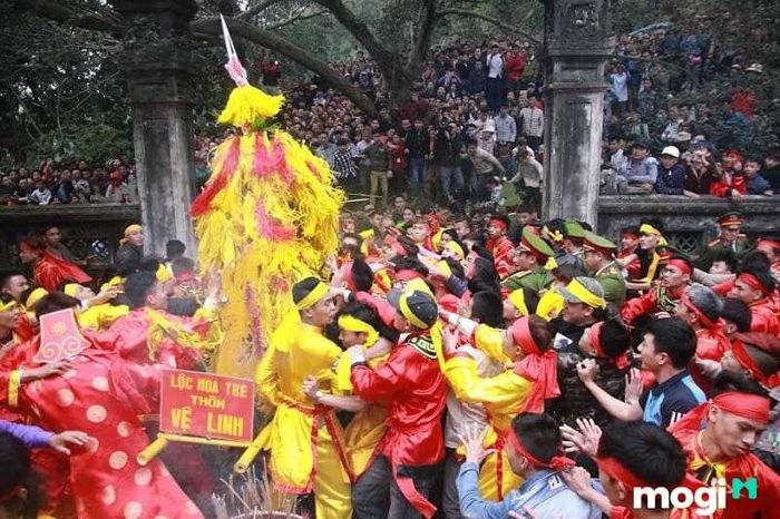 Cướp lộc là một nghi thức không thể thiếu trong lễ hội Đền Gióng, thể hiện sự linh thiêng và niềm tin vào sự may mắn và thịnh vượng.