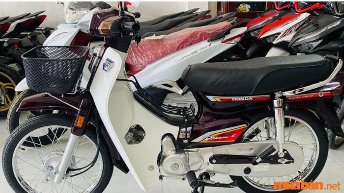 Xe Dream gồm hai phiên bản: Dream Việt và Dream Thái nhập khẩu.