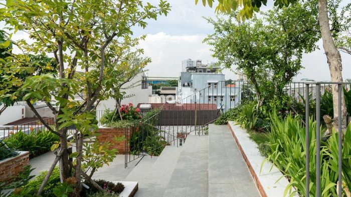 Sân thượng ngập tràn cây xanh, tạo không gian mát mẻ, trong lành