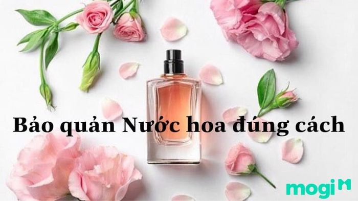 Áp dụng phương pháp bảo quản đúng cách sẽ giúp duy trì mùi hương lâu dài và giữ được chất lượng của nước hoa.