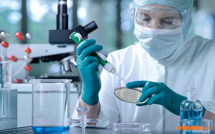 Sinh viên ngành xét nghiệm Y học sẽ được học những kiến thức chuyên sâu về các phương pháp xét nghiệm, quy trình kiểm tra y tế, và cách sử dụng các thiết bị hiện đại trong việc phân tích bệnh phẩm. Ngoài ra, họ còn được trang bị kỹ năng tư vấn, phân tích kết quả xét nghiệm và làm việc trong môi trường y tế chuyên nghiệp.