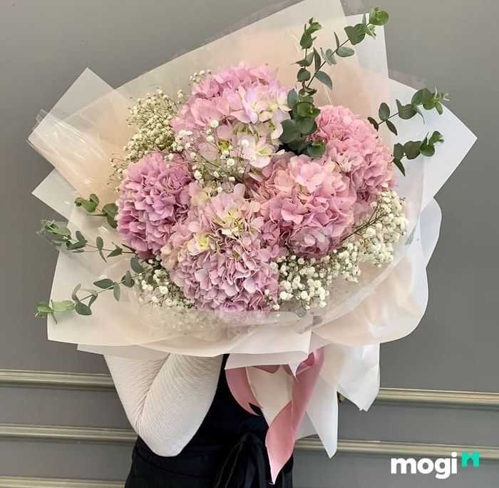 Loài hoa này như một lời nhắc nhở về những kỷ niệm đẹp của thời học sinh, khi được thầy cô dạy dỗ, hướng dẫn và trao đi những kiến thức quý giá.