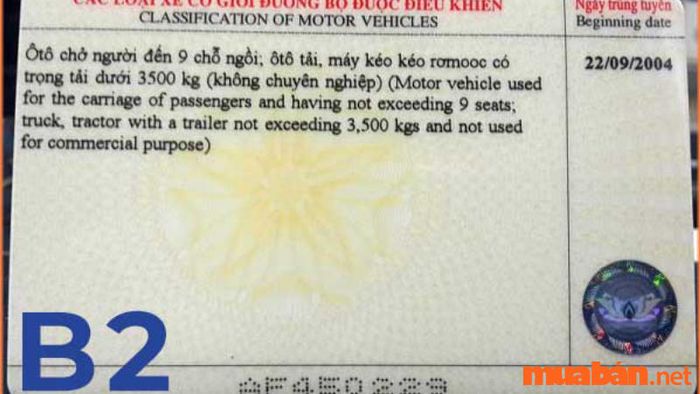 Bằng lái B2 là loại bằng cho phép điều khiển xe gì?