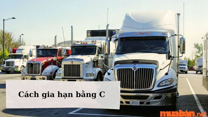 Bằng C lái xe gì: Hướng dẫn gia hạn bằng lái C