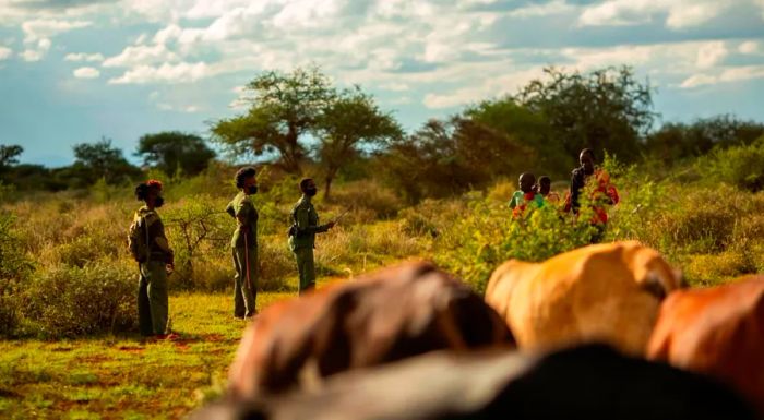 Wildlife rangers maintain a safe distance from local herders while gathering information from them.