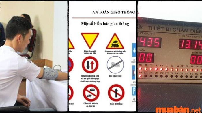 Bằng lái C cho phép điều khiển những phương tiện nào: Quy trình đào tạo và thi bằng lái C