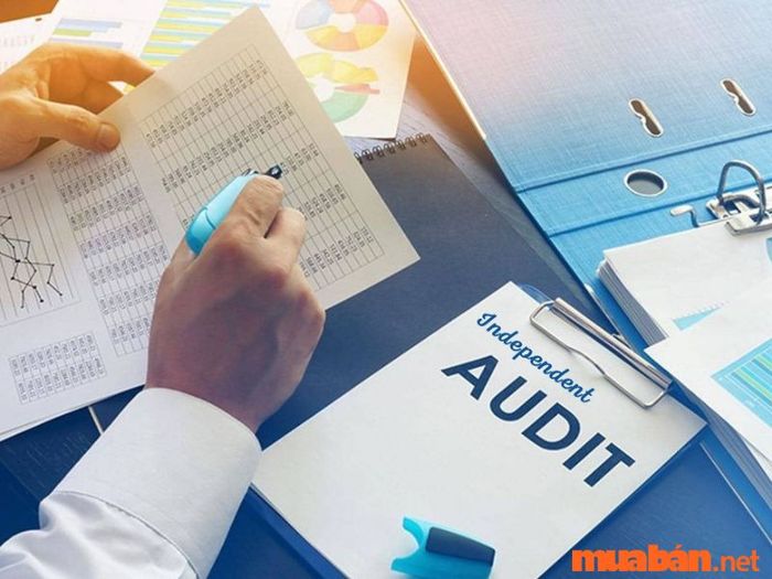 Kiểm toán độc lập tại các công ty tư nhân