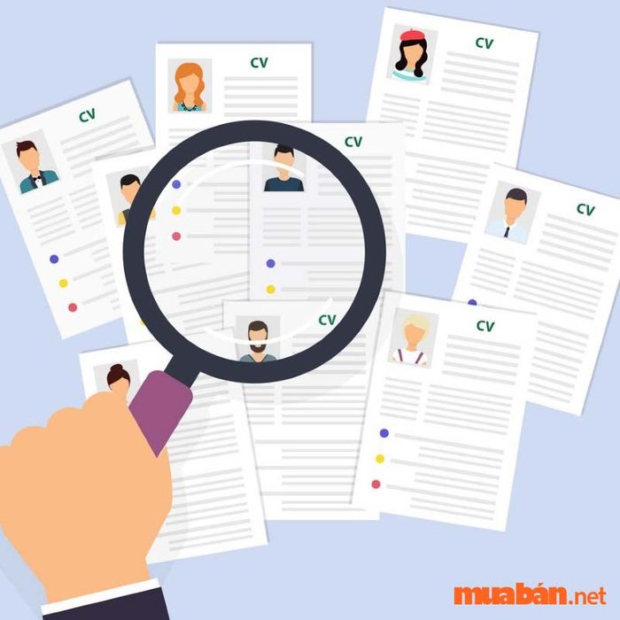 Bạn có thể bổ sung thêm các thông tin khác cho CV của Business Analyst
