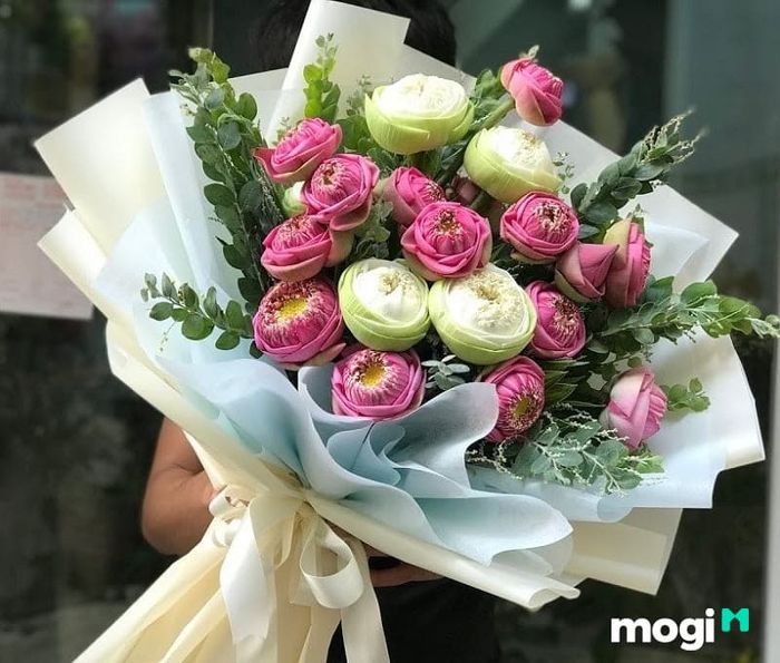 Hoa sen vào ngày 20/11 mang ý nghĩa thể hiện sự kính trọng và lòng biết ơn sâu sắc đối với những người thầy cô giáo, những người đã dạy dỗ và dẫn lối cho chúng ta.