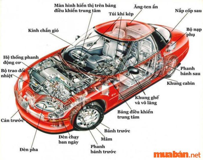 Mẹo học lý thuyết B2 về cấu tạo và công dụng của các bộ phận trên xe.