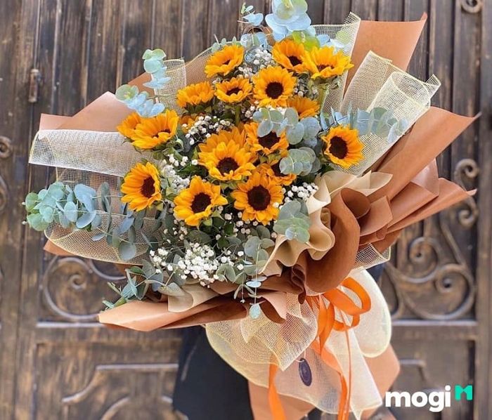 Tặng hoa hướng dương vào dịp 20/11 là cách để gửi gắm những lời chúc thành công và may mắn đến thầy cô giáo, những người thắp sáng con đường tri thức cho học trò.