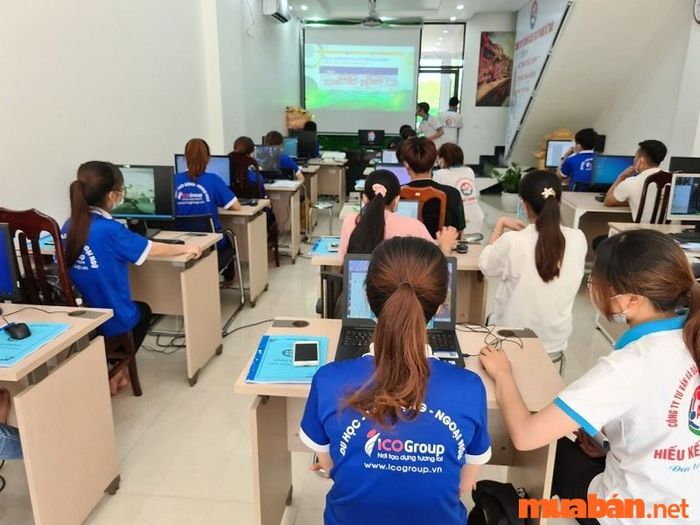 Hiện nay, có rất nhiều trường đại học đào tạo ngành kiểm toán