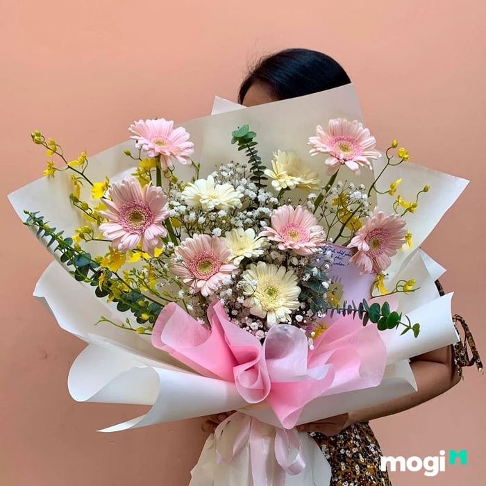 Hoa đồng tiền trong ngày 20/11 mang ý nghĩa chân thành, gửi gắm lời chúc thầy cô luôn thành công, hạnh phúc và gặp nhiều may mắn trong cuộc sống.