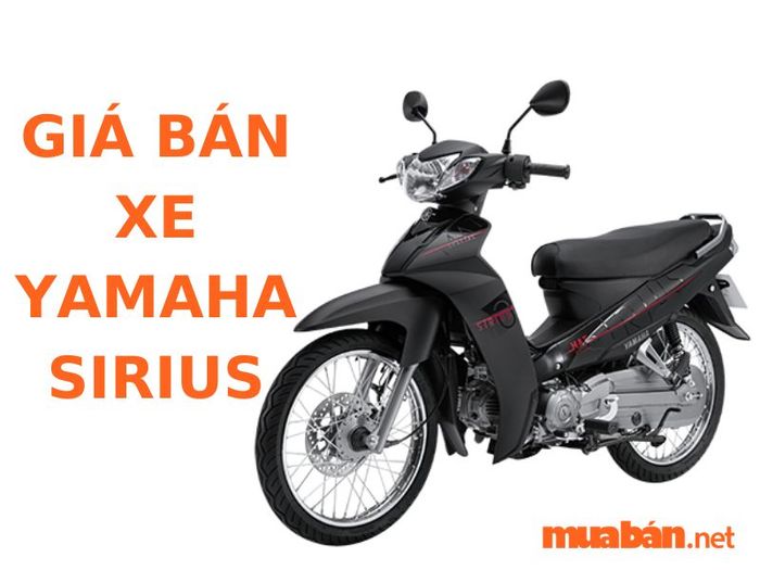 xe số có cốp rộng