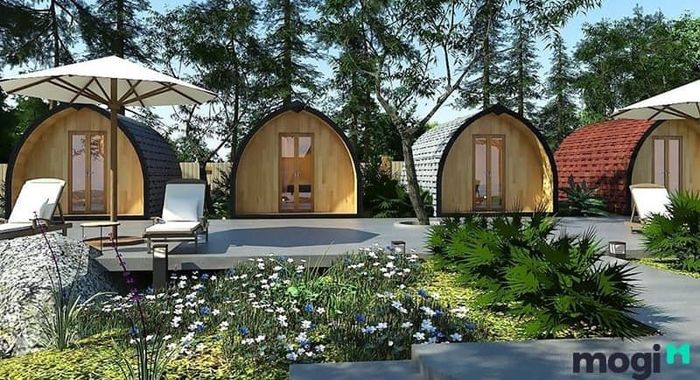 Ánh sáng đóng vai trò vô cùng quan trọng khi bạn đầu tư vào mô hình homestay.