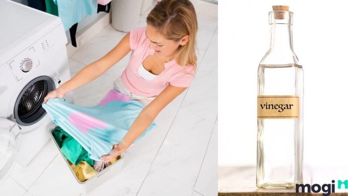 Mẹo Tẩy Quần Áo Bị Lem Màu