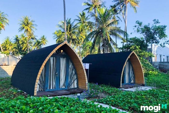 Các mẫu homestay thường được thiết kế theo phong cách không gian mở, kết nối gần gũi với thiên nhiên.