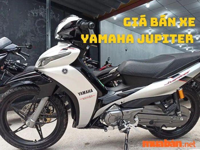xe số cốp rộng
