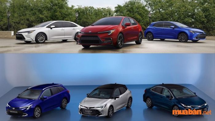 Vài năm trước, thị trường Việt Nam đã đón nhận một số mẫu xe Hybrid nổi bật như Toyota Prius, Toyota Camry Hybrid, Mercedes-Benz S400 Hybrid, Lexus RX 450h,... Tuy nhiên, tất cả những mẫu xe này đều là xe nhập khẩu tư nhân và chưa được phân phối chính thức. Hiện tại, chỉ có Toyota Prius Hybrid được phân phối chính hãng tại Việt Nam.