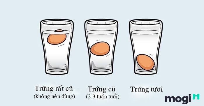 Phương pháp nhận biết trứng hỏng bằng nước lạnh